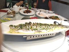 -沪碟·精菜坊(闵行店)