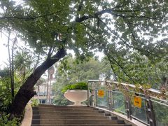 -菲鱼体育恒温游泳馆(中海名城店)