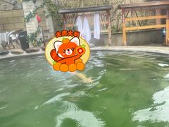 -花水湾第一村温泉大酒店