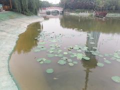 -郑州方特梦幻王国