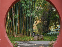-望江楼公园