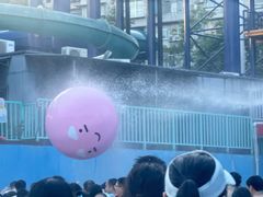 -武汉市青少年宫水上世界
