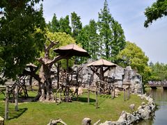 -上海野生动物园