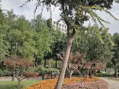 -上海山野camping·户外天幕烧烤·团建拓展营地