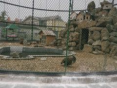 -清风小镇闯关东影视基地