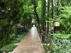 -上海醉白池公园