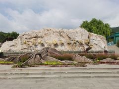 -北京西山国家森林公园