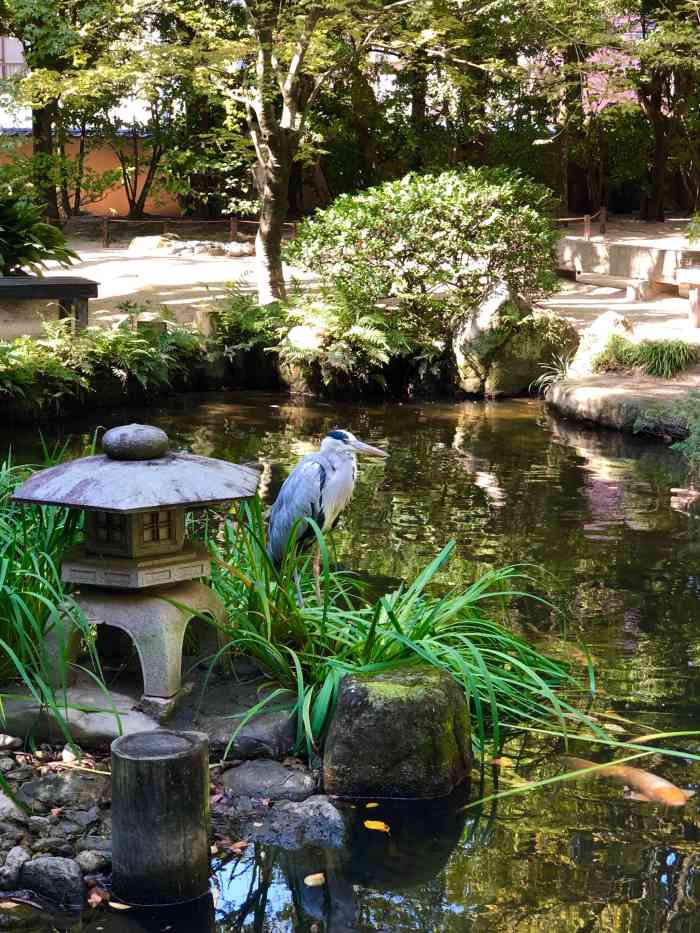 "-大众点评移动版