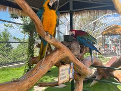 -西霞口神雕山野生动物世界