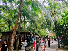 -海南分界洲岛旅游区