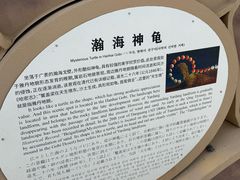 -哈密雅丹大海道景区