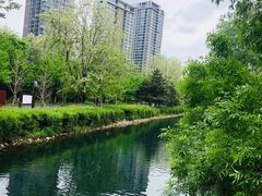 -长白岛森林公园