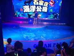-石家庄海洋公园