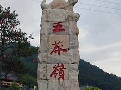 -王莽岭风景区