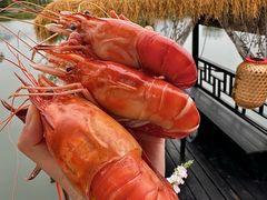 -水岸居湖景农家乐·阳澄湖大闸蟹
