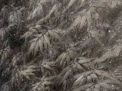 -德基艺术博物馆