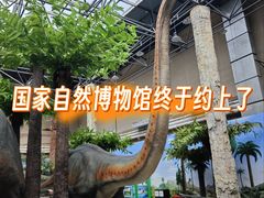 -国家自然博物馆