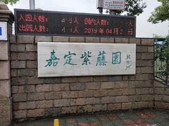 -嘉定紫藤园