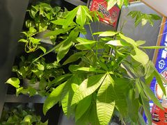 -热火朝天鲜切牛肉火锅(南强街巷店)