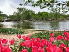 -石家庄市植物园