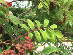 -金石唐风国际温泉会馆