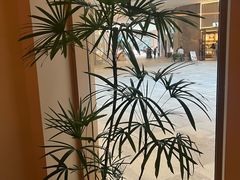 -奈雪茶院·茶室茶馆(广州粤海天地店)