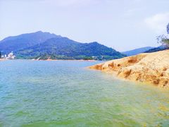 -广州市流溪河国家森林公园