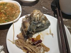 -肥鱼屯活鱼锅(惠工街店)
