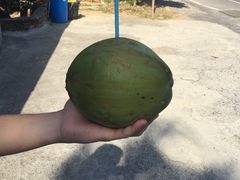 -白沙湾海滩