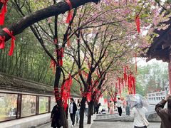 -西安青龙寺遗址景区