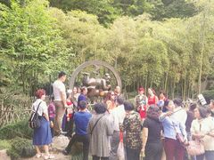 -杭州黄龙洞