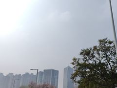 -郑州美豪雅高诺富特会展中心酒店