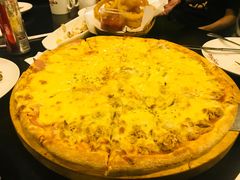 -百好乐宠物友好餐厅(朝外大街店)