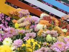 -共青国家森林公园-售票处