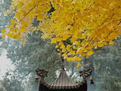 -红螺寺