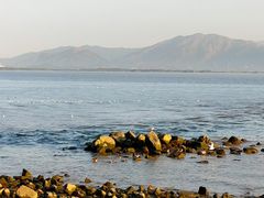 -深圳湾公园(南山区)