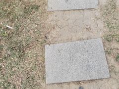 -洛阳市隋唐城遗址植物园