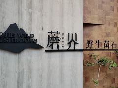 -蘑界·野生菌火锅(深业上城店)