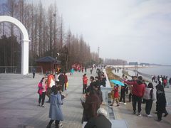 -瀛洲公园