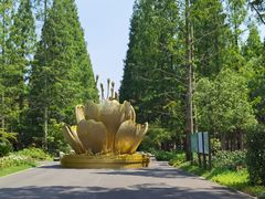-东平国家森林公园