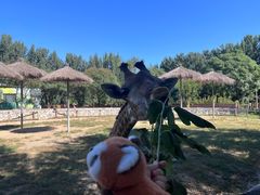 -北京野生动物园