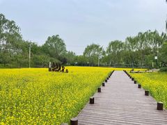 -北坞公园