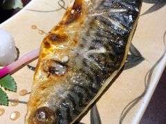 -松子料理(亮马桥店)