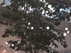 -大树餐厅(红旗街万达店)