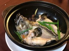 酵素蒸石斑-ZF Seafood Restaurant 卓峰海鲜餐