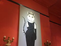 -猫色咖啡·猫咖
