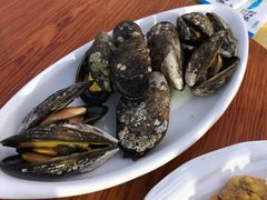 -胖大嫂渔家排档·全海景餐厅(渔村店)