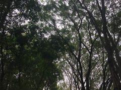 -南宁市动物园