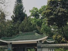 -广州兰圃