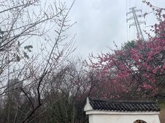 -重庆彩云湖湿地公园